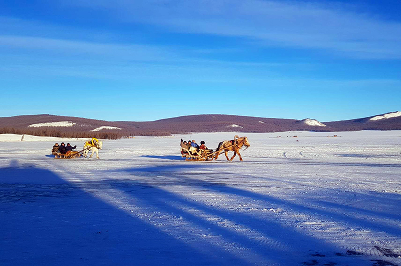 Horse sledding